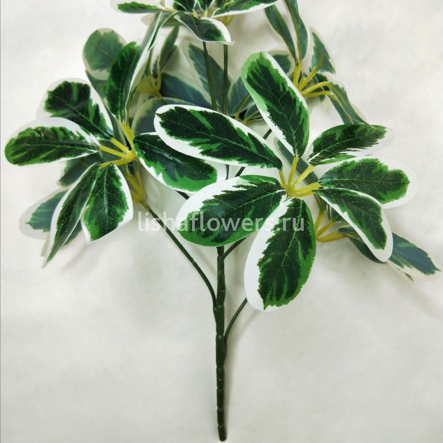 Фикус 35см.Арт.3107/2